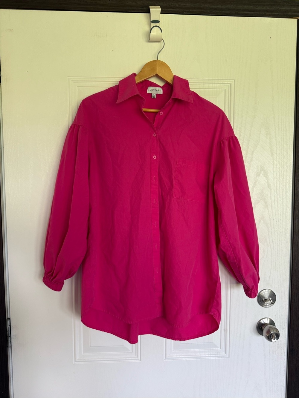Lucy Paris pink button up blouse with balloon sleeves
